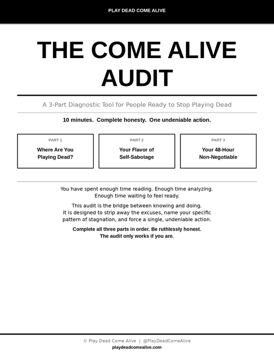 The Come Alive Audit—Free Digital Download